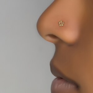 Pu&ograve; includere: Un anello per il naso d'oro a forma di fiore.