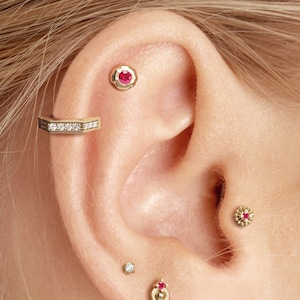 以下が含まれることがあります： 複数のピアスをあけた人の耳のクローズアップ。ピアスには、フープイヤリング、バーイヤリング、小さな赤い宝石が付いたスタッドなど、さまざまな金のジュエリーが飾られています。