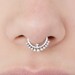 see more listings in the FAUX ANNEAUX DE SEPTUM section
