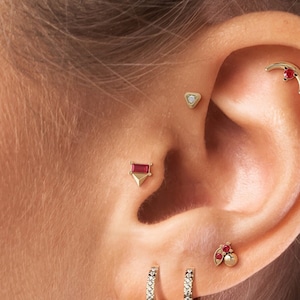 Może przedstawiać: Ucho z wieloma kolczykami. Kolczyki obejmują półksiężyc z czerwonym kamieniem szlachetnym, mały diament, mały trójkąt z czerwonym kamieniem szlachetnym, małą sztabkę z czerwonym kamieniem szlachetnym oraz dwa małe obręcze z czerwonymi kamieniami szlachetnymi.