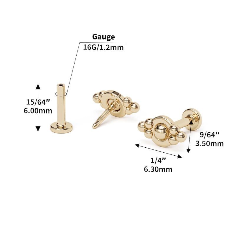 May include: Gold body jewelry with a beaded design. The jewelry is 1/4 inch (6.30 mm) long and 9/64 inch (3.50 mm) wide. The gauge is 16G (1.2 mm).
