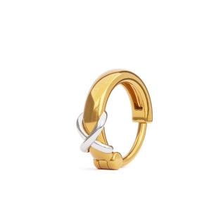 Moderne Knorpelohrring, Gold Silber Helix Hoop, Helix Schmuck, Knorpel Piercing, Helix Ohrring Hoop, Helix Piercing, zweifarbiger Helix Hoop