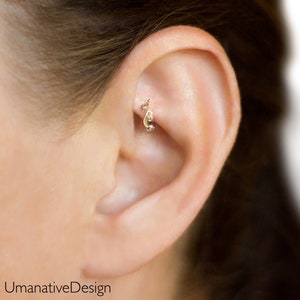 Rook Earring, Conch Earring, Rook Piercing, Gold Cartilage Earring, Helix Earring, Helix Piercing, Helix Hoop, Tragus Earring