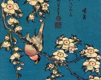 Japanese Ukiyo-e Woodblock print, Katsushika Hokusai, "A Bullfinch and A Dropping Cherry Tree"