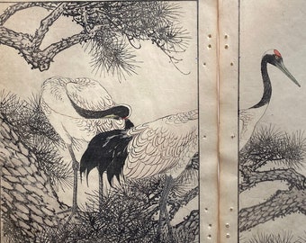 1891, Imao Keinen, " Old pine tree (Oimatsu), Red-crowned crane (Tanchoduru) "