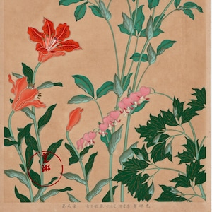 May include: A vintage Japanese woodblock print depicting a floral arrangement with red lilies, pink bleeding hearts, and yellow flowers. The flowers are rendered in a delicate style with fine lines and subtle shading. The background is a pale beige.