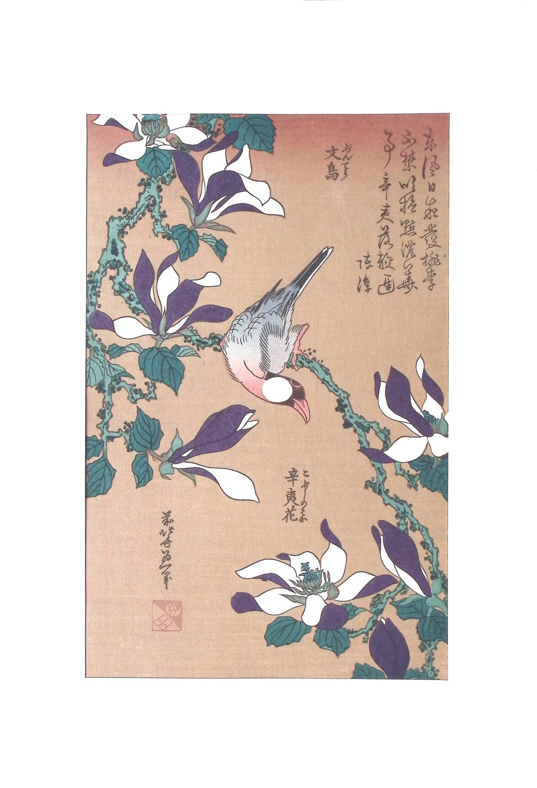 日本の浮世絵、木版画、葛飾北斎、「木蓮に文鳥」 - Etsy 日本