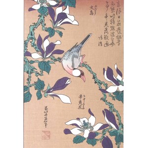 Japanse Ukiyo-e, houtsnede, Hokusai, "Java-mus op magnolia"