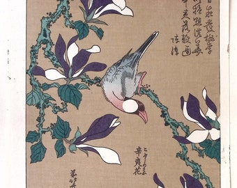 日本の浮世絵、木版画、葛飾北斎、「木蓮に文鳥」 - Etsy 日本