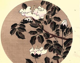 Japanese antique woodblock print, Ito Jakuchu, "Japanese Pagoda Tree, from Jakuchu gafu"