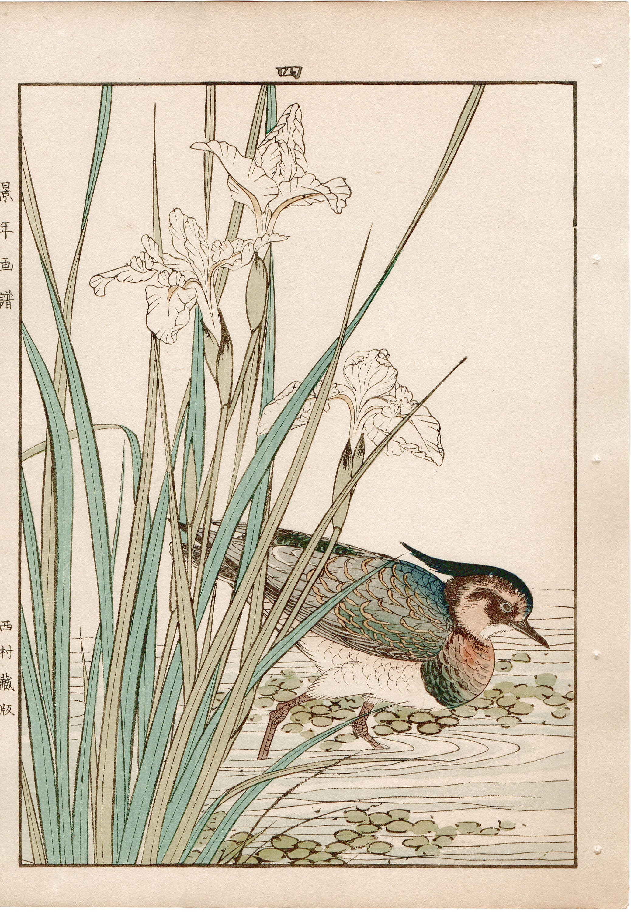 1892, Japanese Antique Original Woodblock Print, Imao Keinen