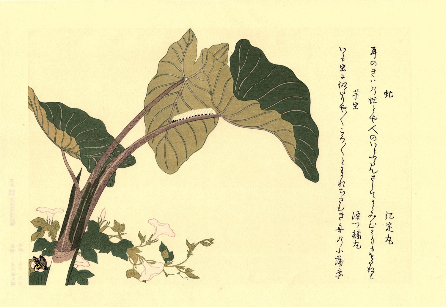 Japanese Ukiyo-e Woodblock Print, Utamaro, 