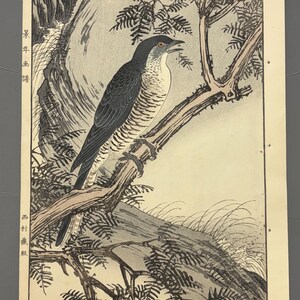 May include: A vintage Japanese woodblock print depicting a bird on a branch. The bird has dark grey wings and a light chest. The print includes Japanese text and is set against a backdrop of a tree and rocks, with a muted colour palette.