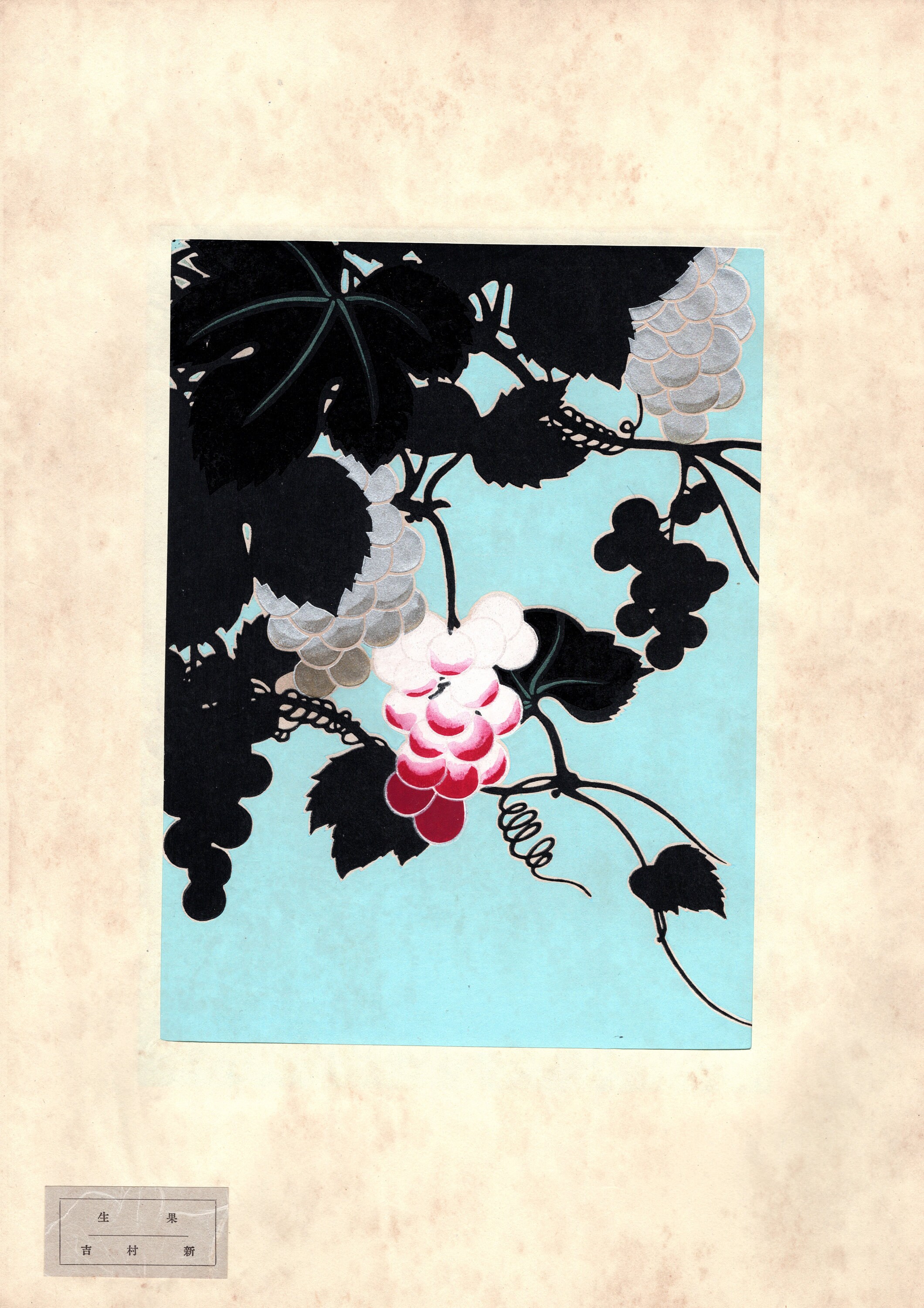 アンティーク　版画日本画 花・植物・果実の絵 4点セット 日本のアンティーク木版画、デザイン、1939年、吉村新、「新鮮な果物