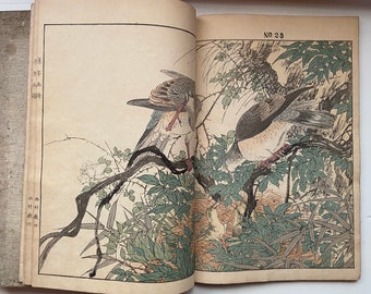 今尾景年の木版本『景年花鳥画譜』。 - Etsy 日本