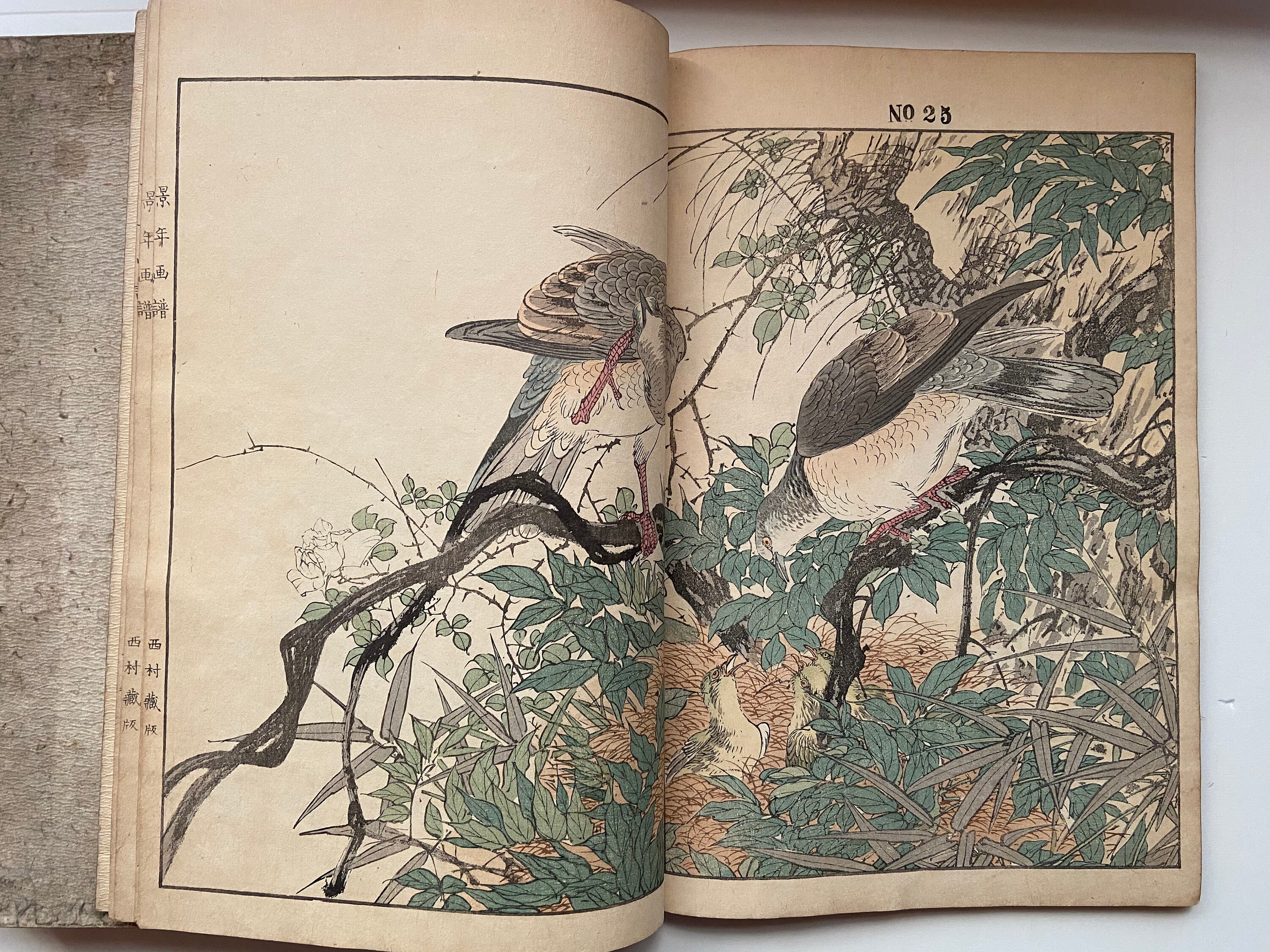 今尾景年の木版本『景年花鳥画譜』。 - Etsy 日本