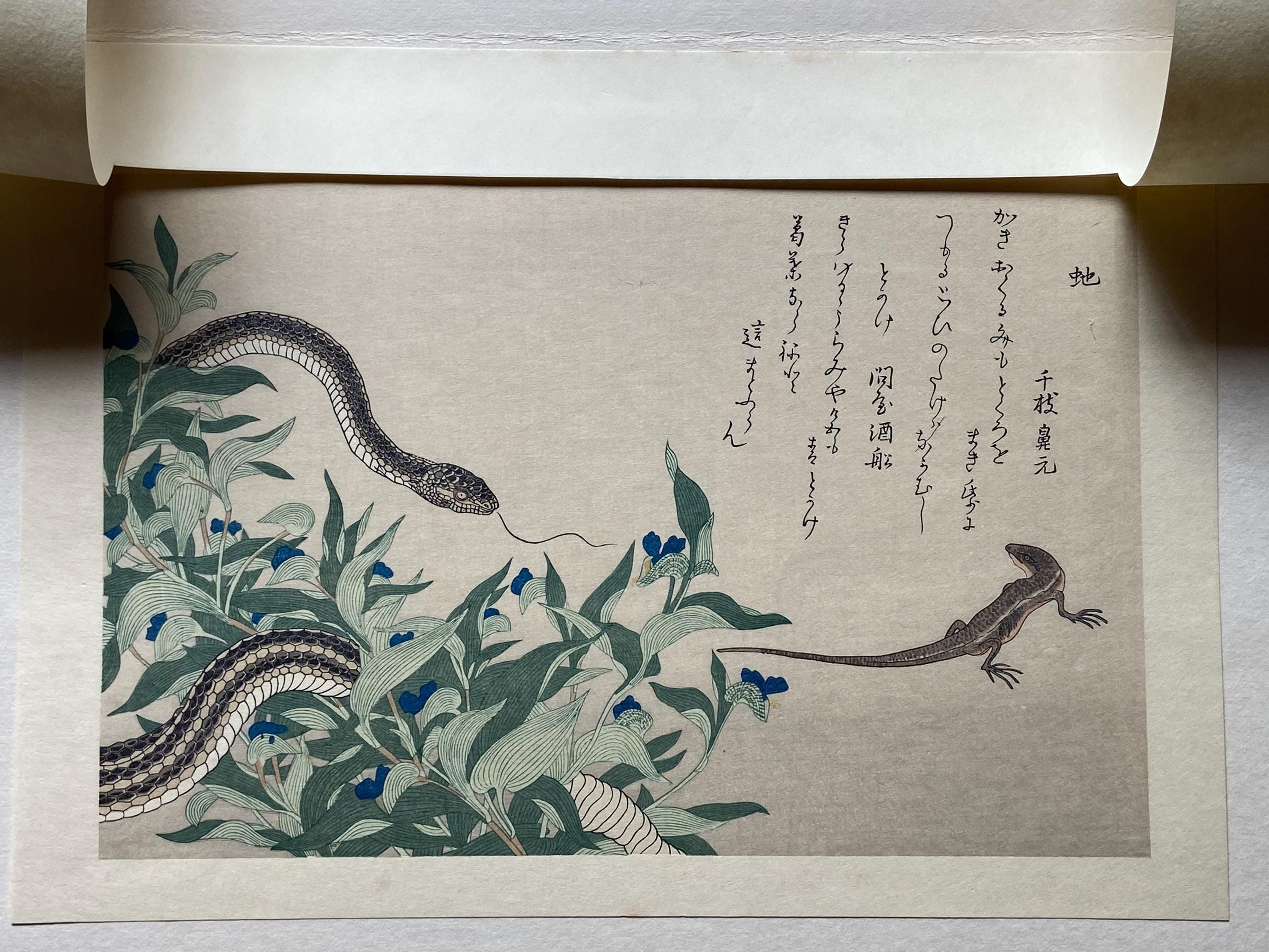 日本の浮世絵、歌麿「トカゲとネズミヘビ」 - Etsy 日本