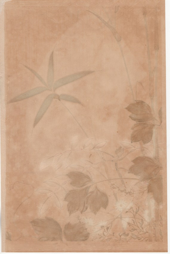 Japanese Design, Antique, Woodcut Print, 1930, Sakai Hoitsu