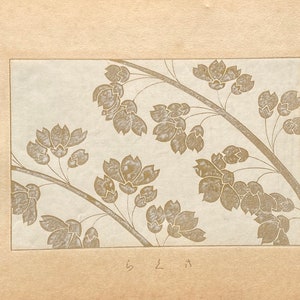1933, Kawarazaki Kodo, Antique Woodcut Design Print,  Cherry Blossoms.