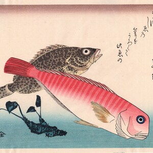 Puede incluir: Una estampa japonesa en madera que representa dos peces nadando en el océano. Los peces son un pez rojo y blanco con rayas negras y un pez marrón y negro con manchas blancas. La estampa está sobre un fondo azul claro con un borde azul oscuro.