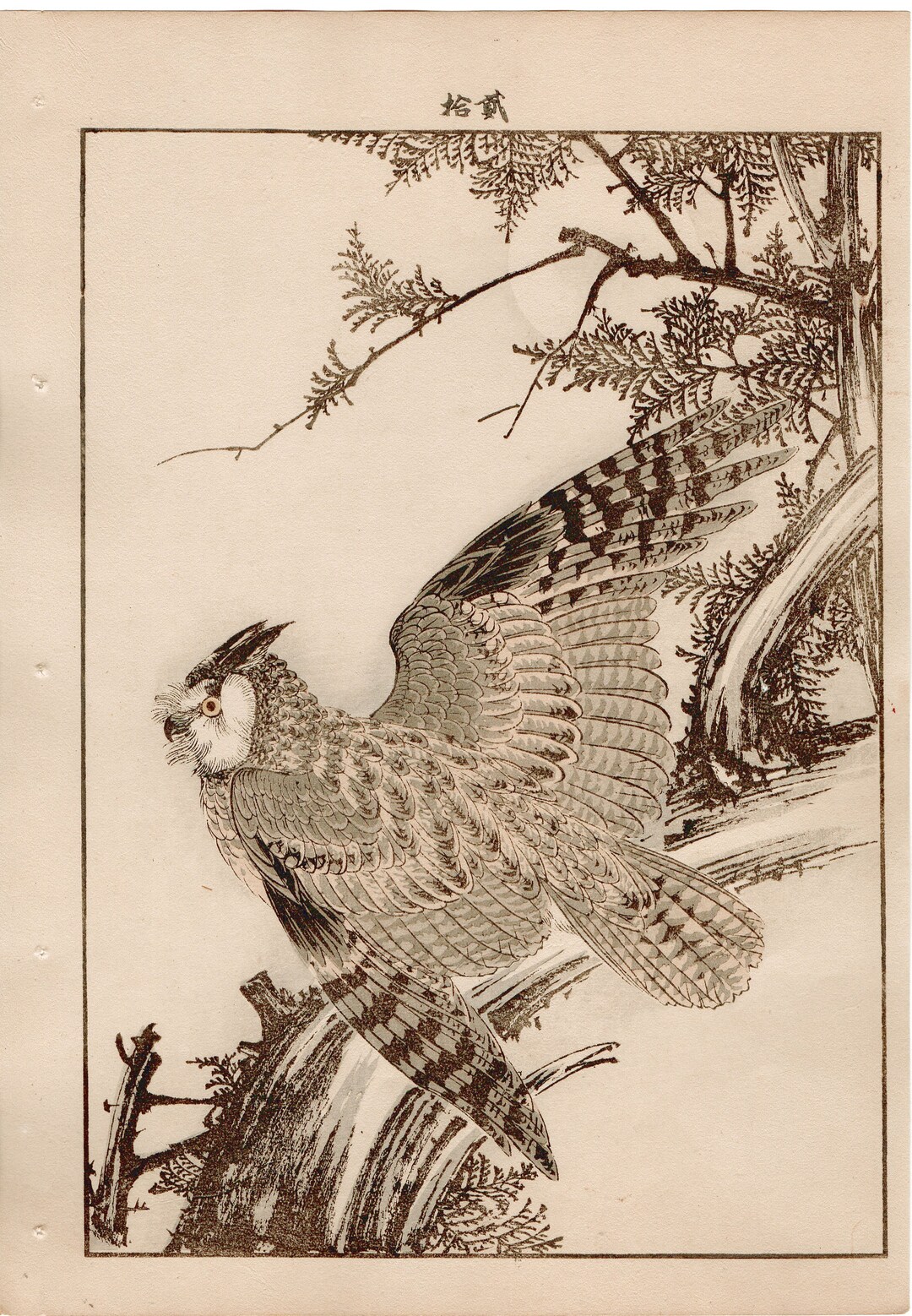 1892, Japanese Antique Original Woodblock Print, Imao Keinen