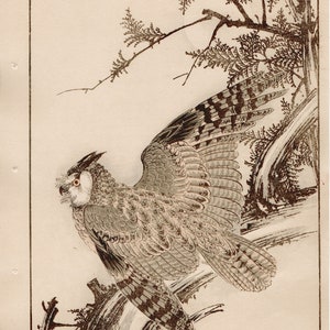 1892, Japanese Antique Original Woodblock Print, Imao Keinen