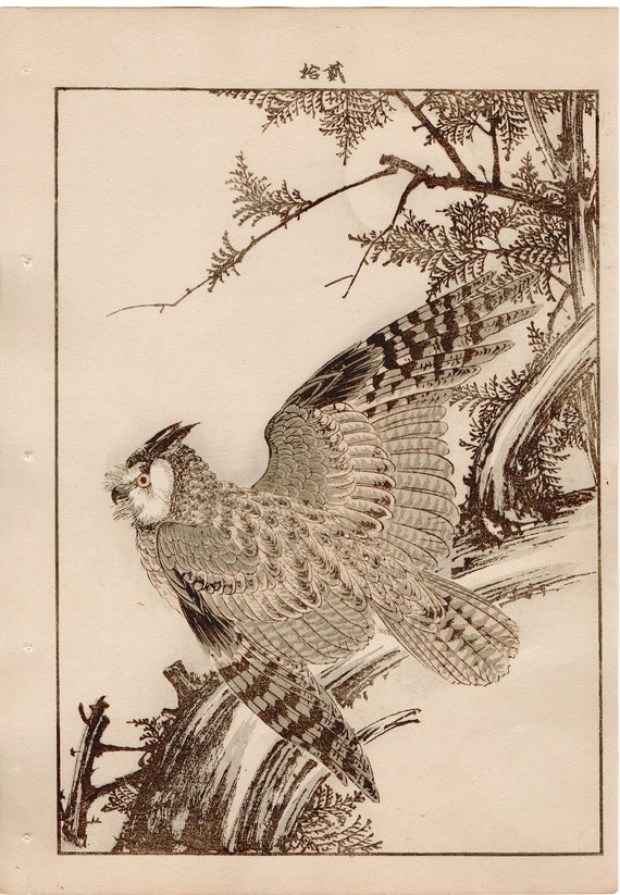 Japanese Antique Original Woodcut Print, 1892, Imao Keinen