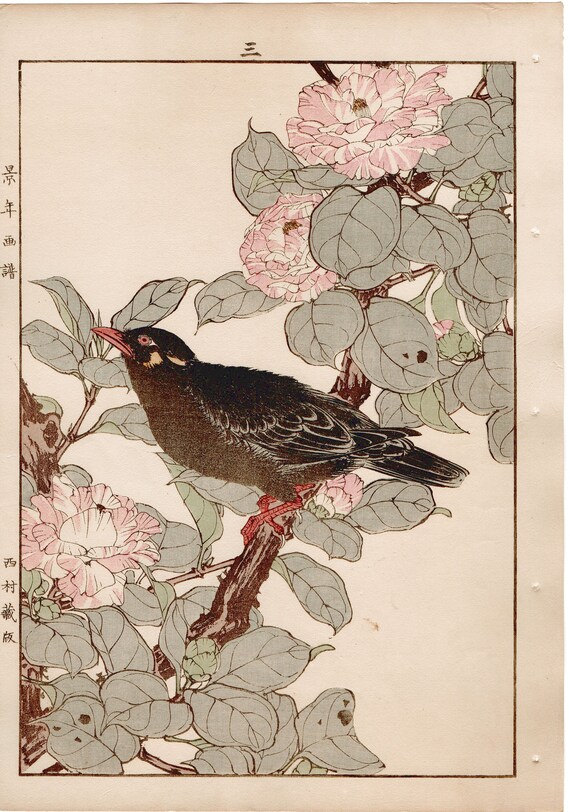 1892年（明治25年）今尾景年『椿（八重椿）、九官鳥（休官庁