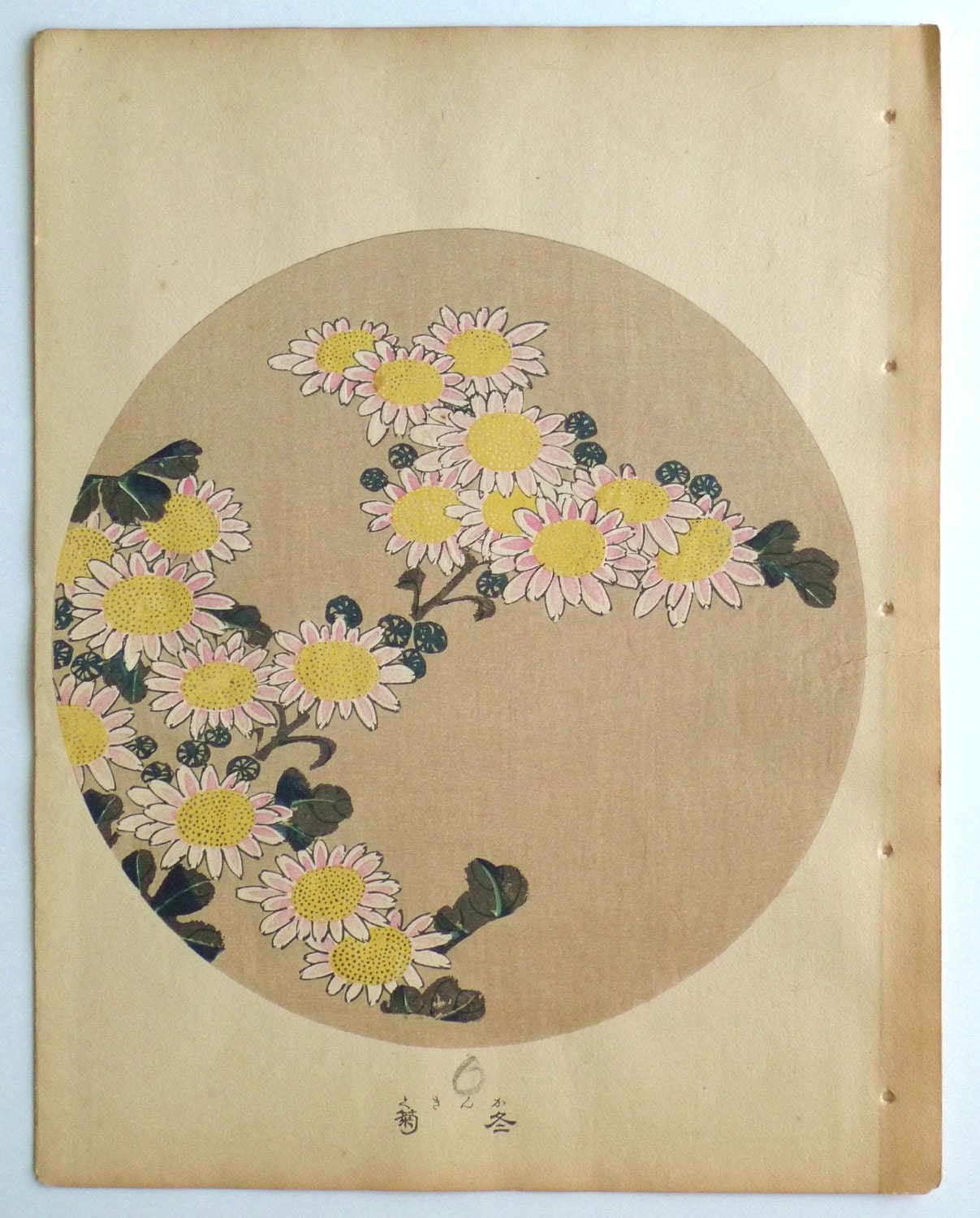 1908年、日本のアンティーク木版画、伊藤若冲作、「若冲画風より冬菊