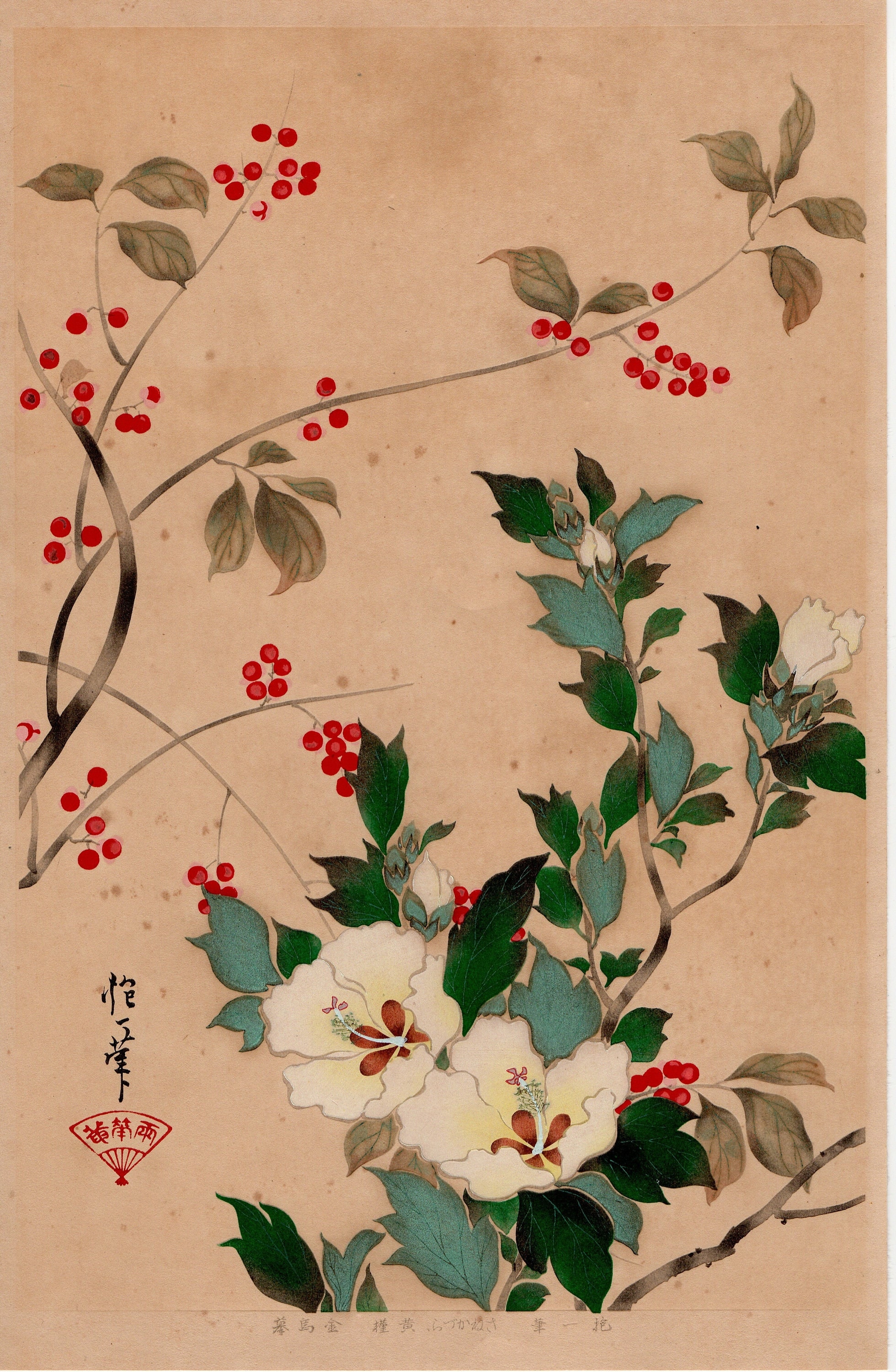 1931年、酒井抱一「琳派画家百花図鑑、カズラ、ハマボウ」 - Etsy 日本
