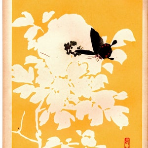 1934, Kyobashi Masuichi, "Tansai-Gafu". 11