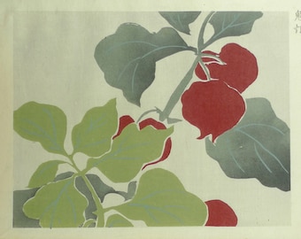 1910, Japanese antique woodblock print, Ogino Issui, "Zuan Hyakudai"
