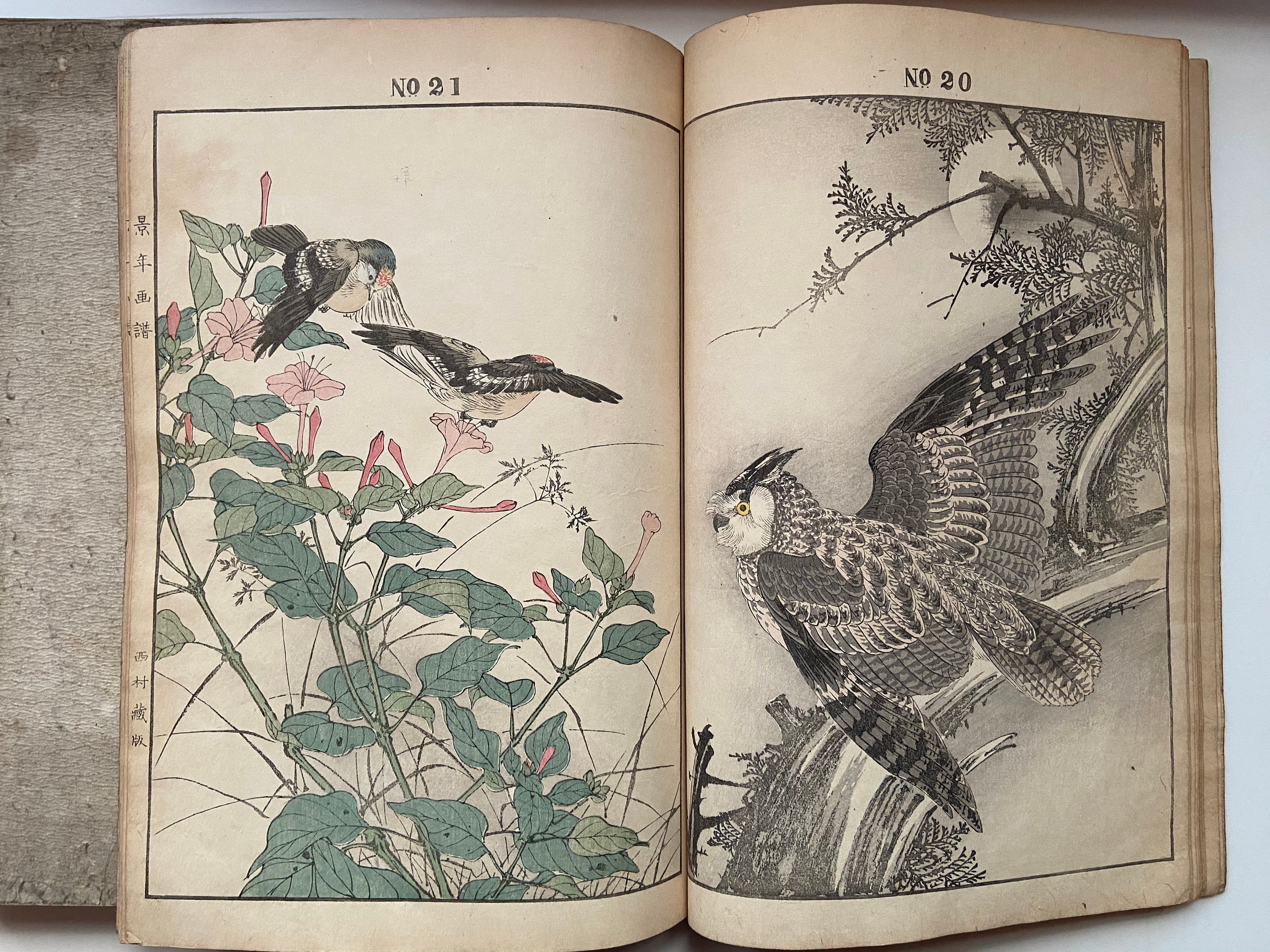 今尾景年　四条派　日本画家　風景画　海山波図　絵　日本画　風景画 今尾景年 四条派 日本画家 風景画 海山波図 絵 日本画 風景画