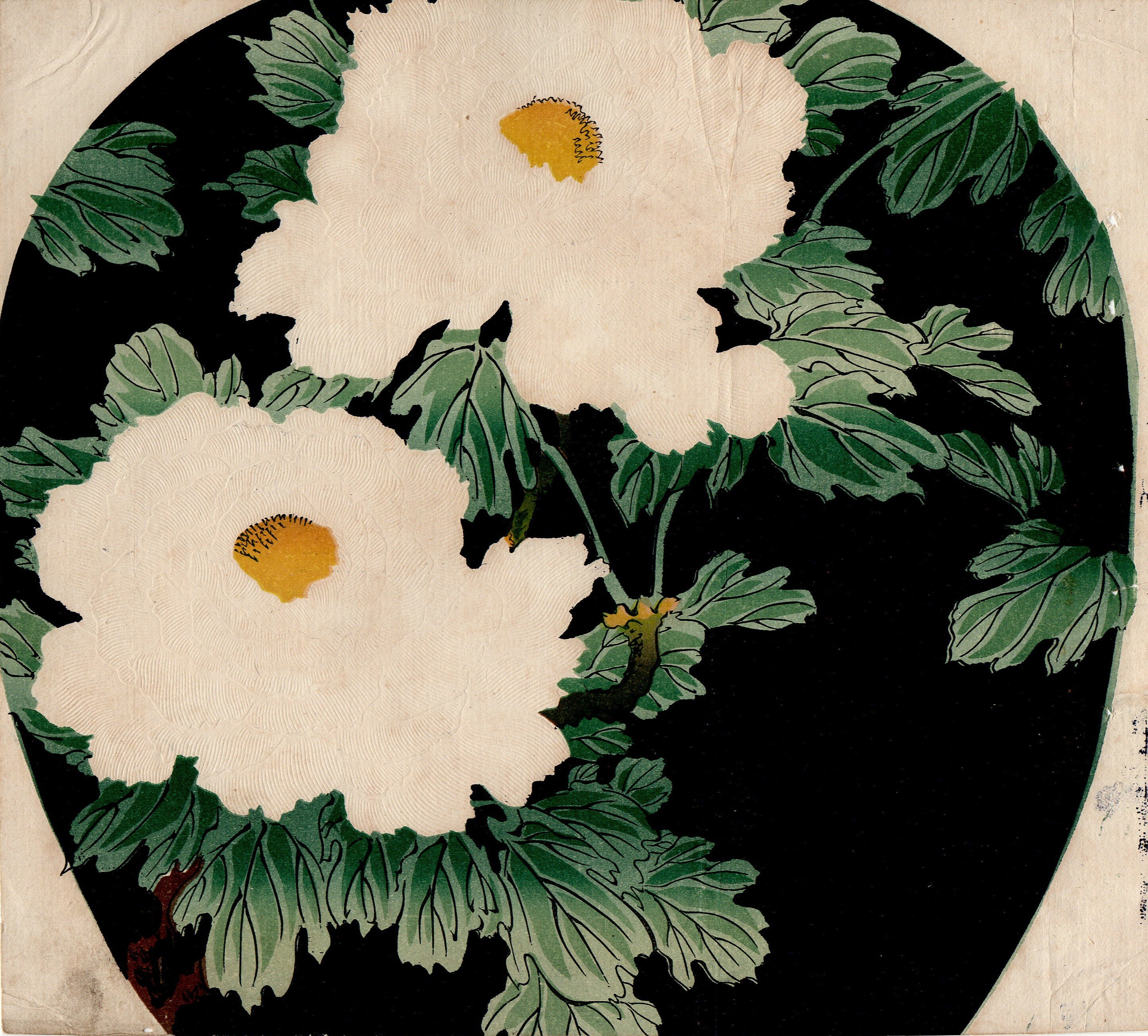 Furuya Korin, Peonía Blanca