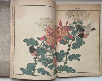 江戸屋の飾り絵　今尾景年の花鳥図の特別セット　8枚組 江戸屋の飾り絵 今尾景年の花鳥図の特別セット 8枚