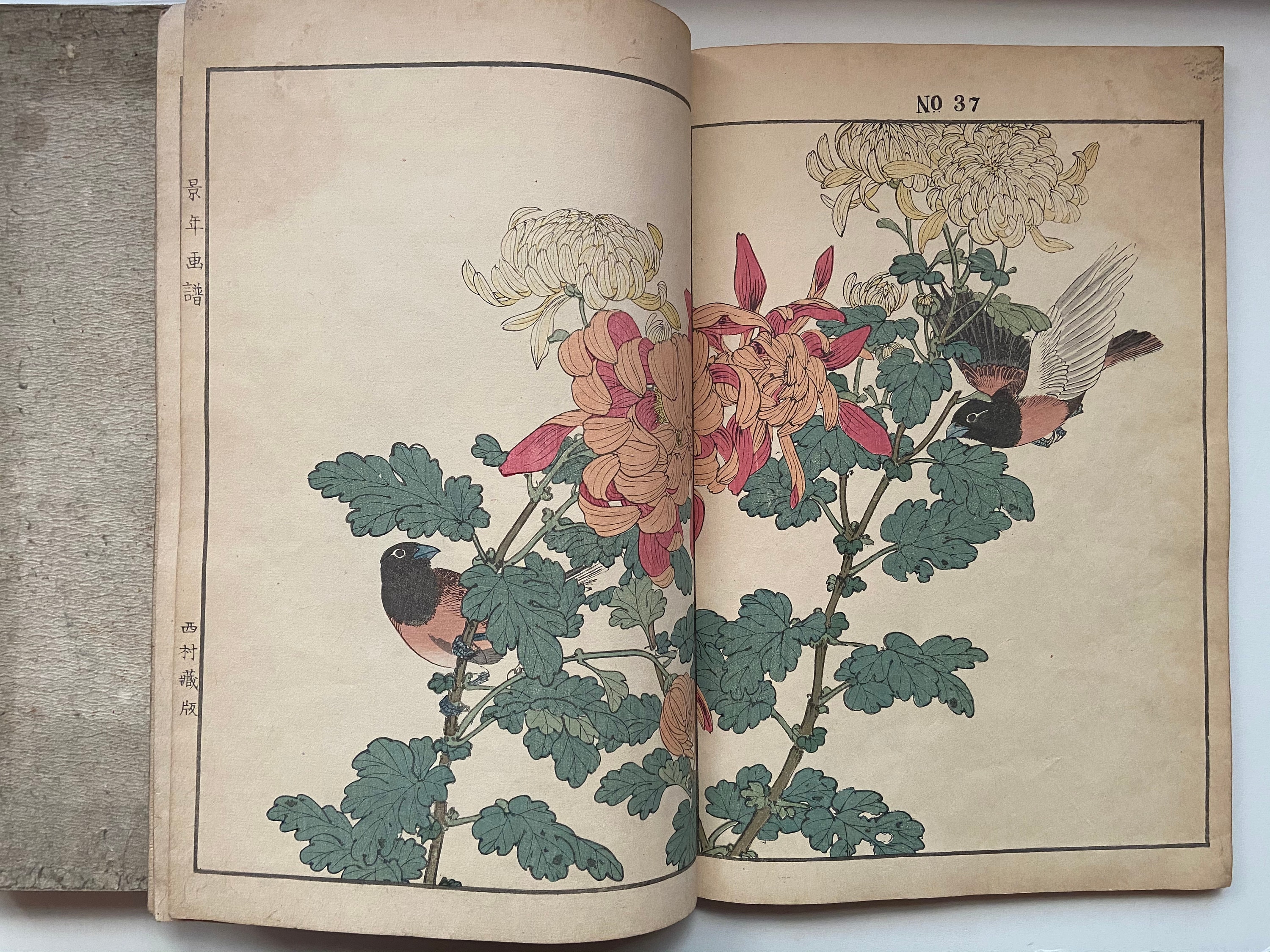 江戸屋の飾り絵　今尾景年の花鳥図の特別セット　8枚組 江戸屋の飾り絵 今尾景年の花鳥図の特別セット 8枚組 （獅子王