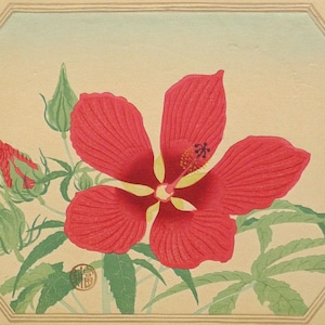 1932, Ukiyoe, Original Sōsaku-hanga, Woodblock print, antique, Tomikichiro Tokuriki, "Hibiscus coccineus"