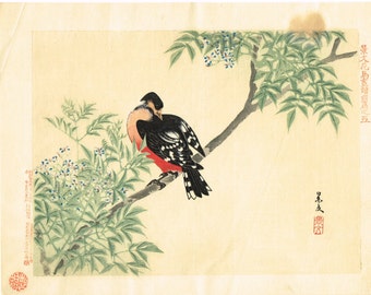 1894, Japanese Woodblock print, antique, Matsumura Keibun, "Woodpecker"