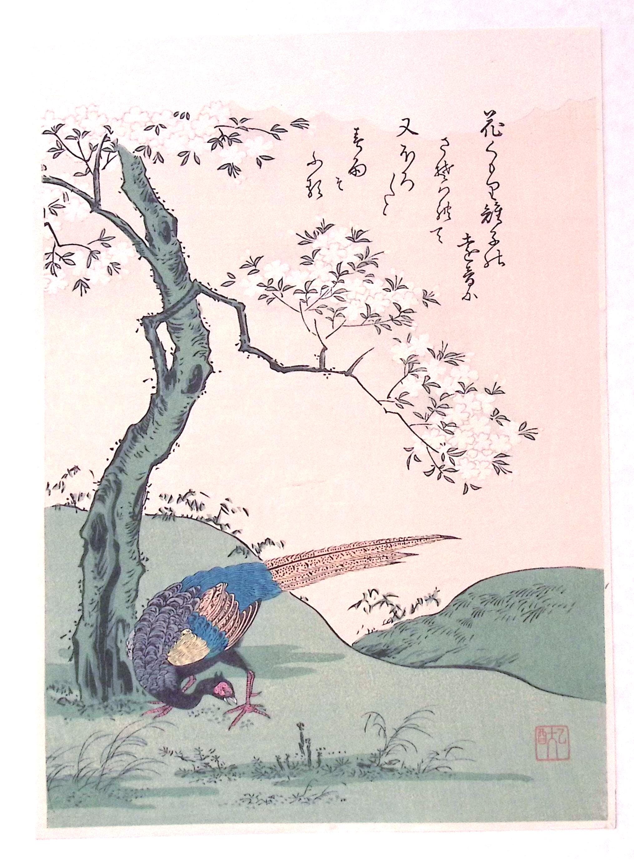 日本の浮世絵 木版画 50枚セット 日本の浮世絵、木版画、小松屋百鬼、「桜と雉」 - Etsy 日本