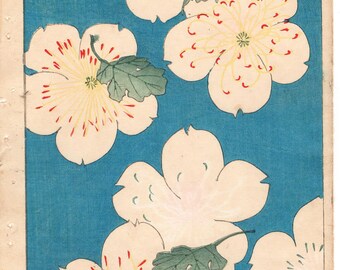 Rond 1900, Bijutsukai 1, Antieke Japanse prent, Kimono Design.