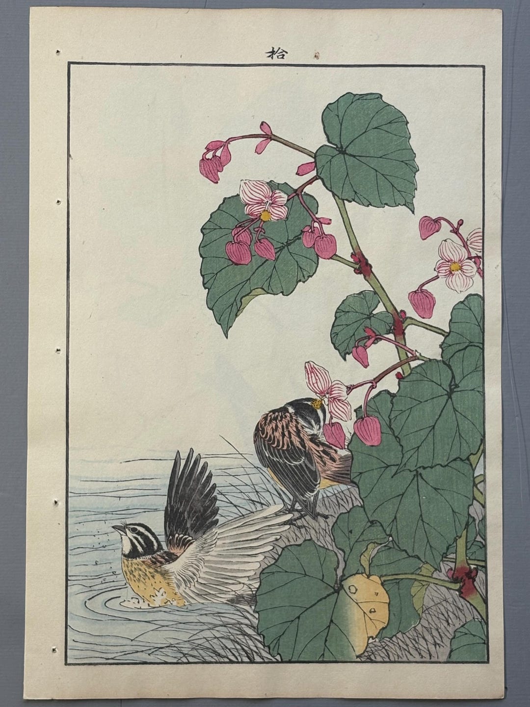Japanese Antique Original Woodcut Print, 1892, Imao Keinen, 