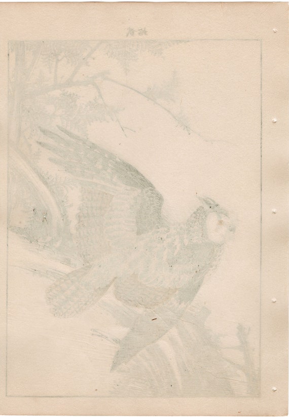 1892, Japanese Antique Original Woodblock Print, Imao Keinen