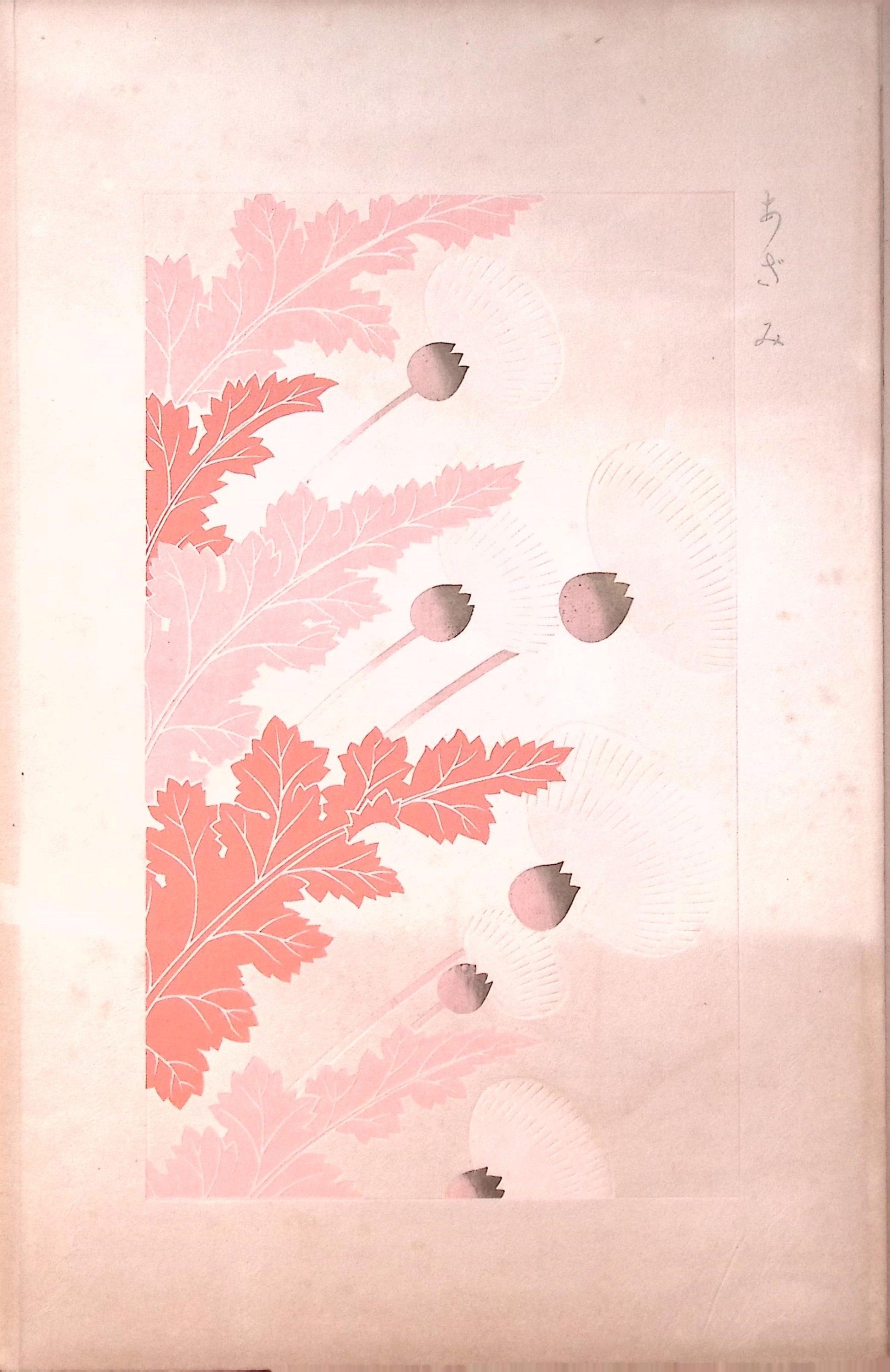 KOJIのリトグラフ（Lithographie） KOJIのリトグラフ（Lithographie） - メルカリ