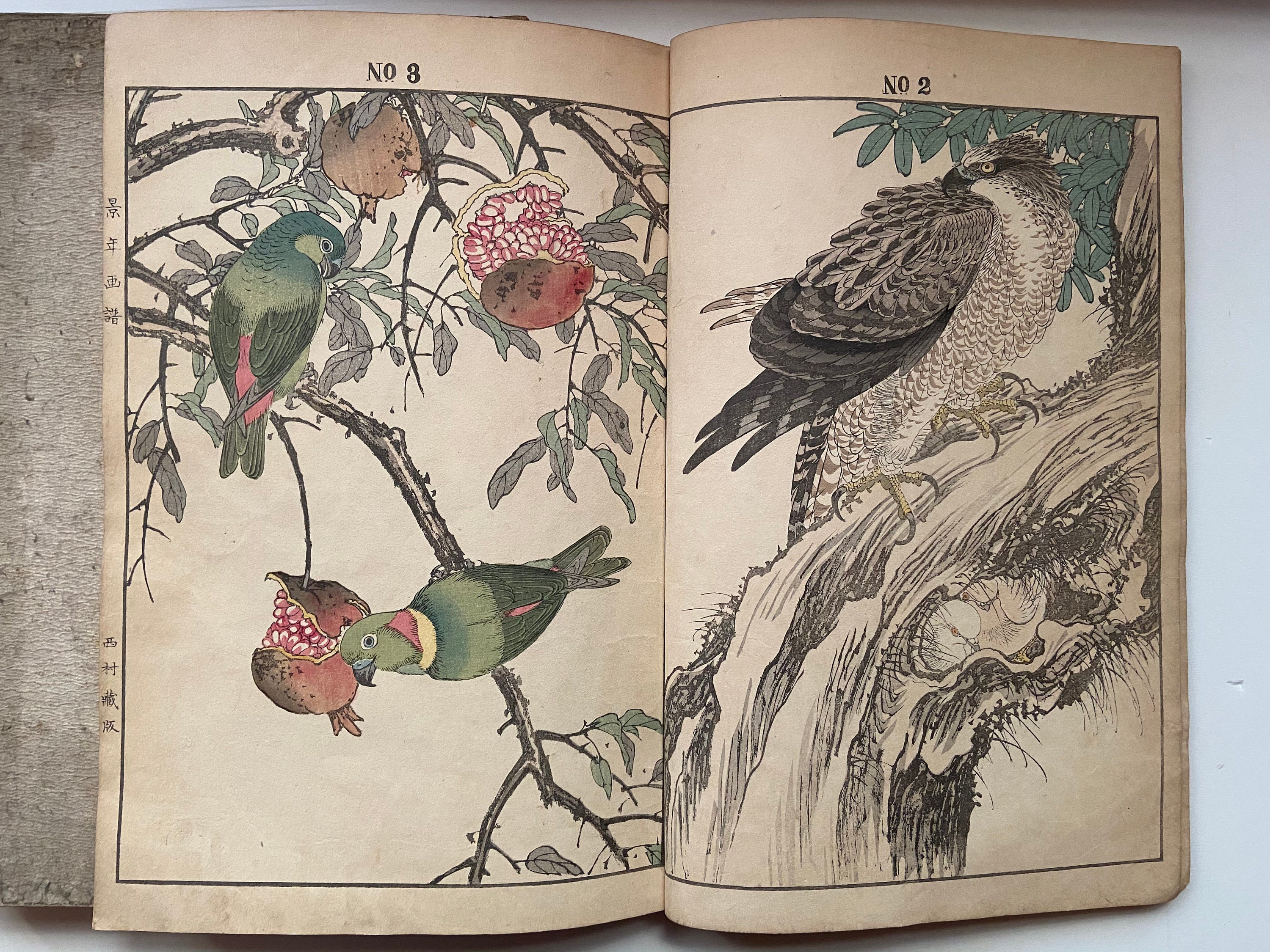江戸屋の飾り絵　今尾景年の花鳥図の特別セット　8枚組 今尾景年《花鳥図屏風》前期展示 今尾景年は1900年の #パリ万博