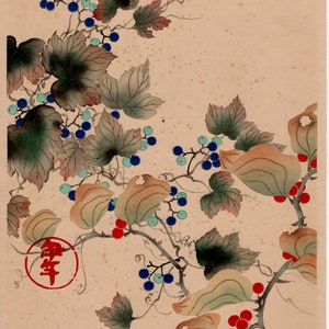 1930, Tawaraya Sotatsu, "Album of Hundred Flowers by Artists of Rinpa School, Ampelopsis”