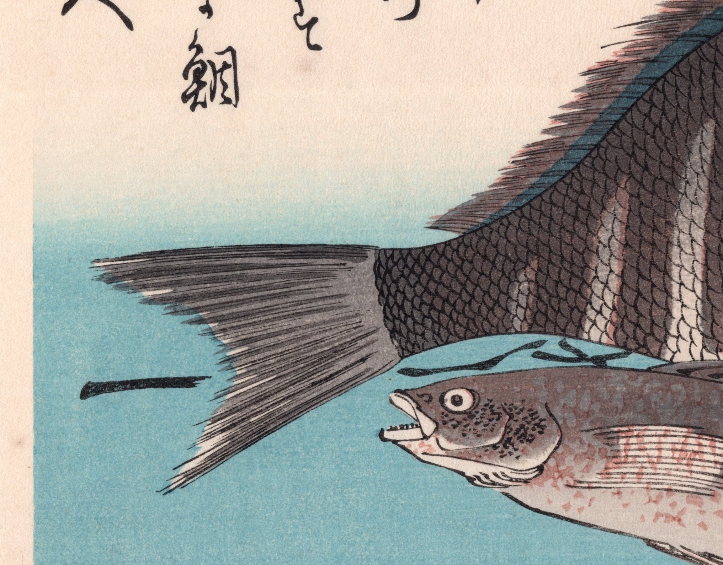 日本の浮世絵、木版画、広重作、「縞鯛、岩鱈、ナンテン」。 - Etsy 日本