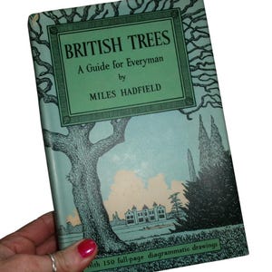1957 BRITISH TREES A Guide For Everyman By Miles Hadfield, Illustrated, Vintage Tree Identification Book, Natural History Nature Reference