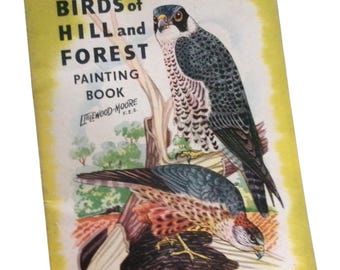 1958 Birds of Hill and Forest Painting Book, Vintage Wildlife Illustrations