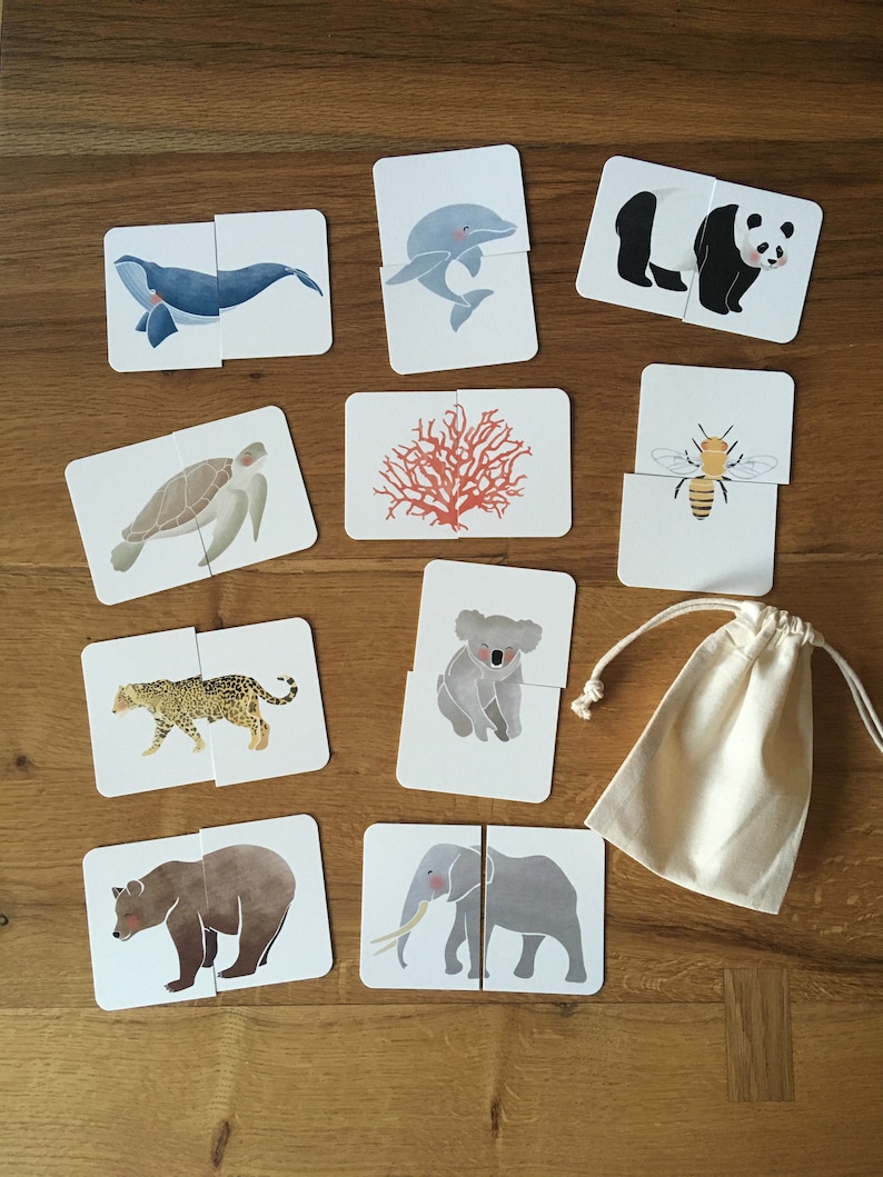 Cartes puzzle animaux protégés