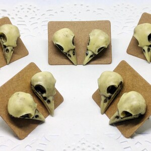 Handpainted small resin Crow Skull stud earrings, handcrafted jewelry, gothic earrings, nickel-free studs, Raven skull